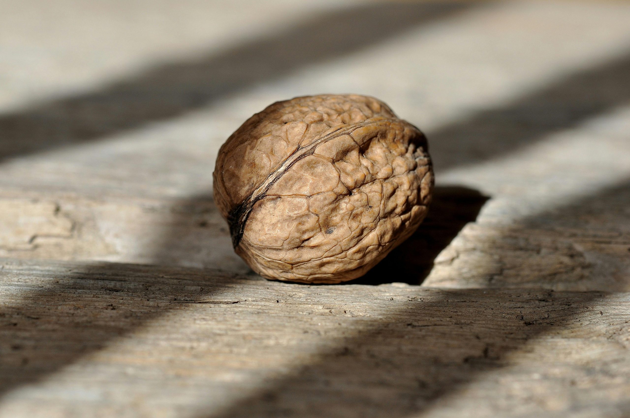 Detailed close-up of a single walnut placed on a rustic wooden surface with sunlight.